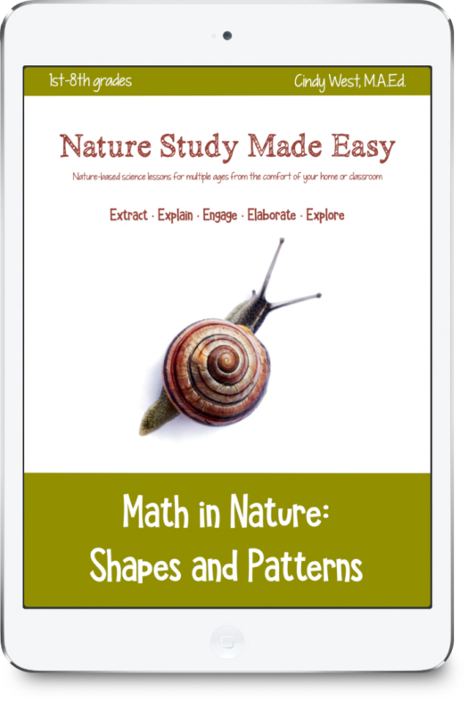 iPad icon with green trim and a snail in the middle. Used as the cover for a nature curriculum about math and patterns in nature.
