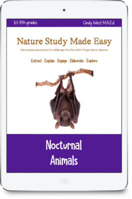 iPad with purple trim and a bat hanging upside down on a tree branch. This is a cover for a nature study curriculum about nocturnal animals.