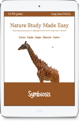 iPad with brown trim with a giraffe that has a bunch of birds roosting on its neck and back. Used as the cover for a curriculum about symbiosis.