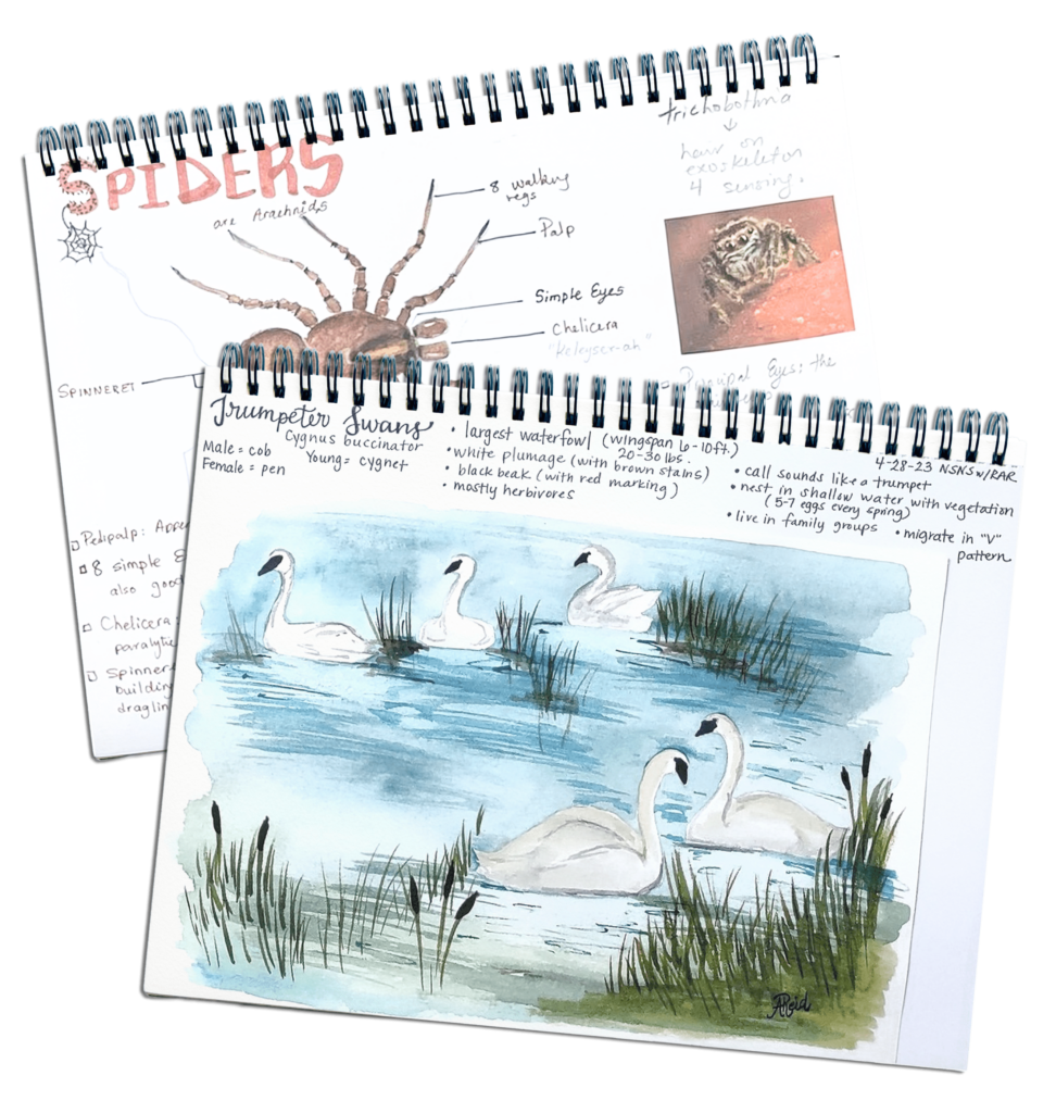 Live Science Classes + Video Library | No Sweat Nature Study