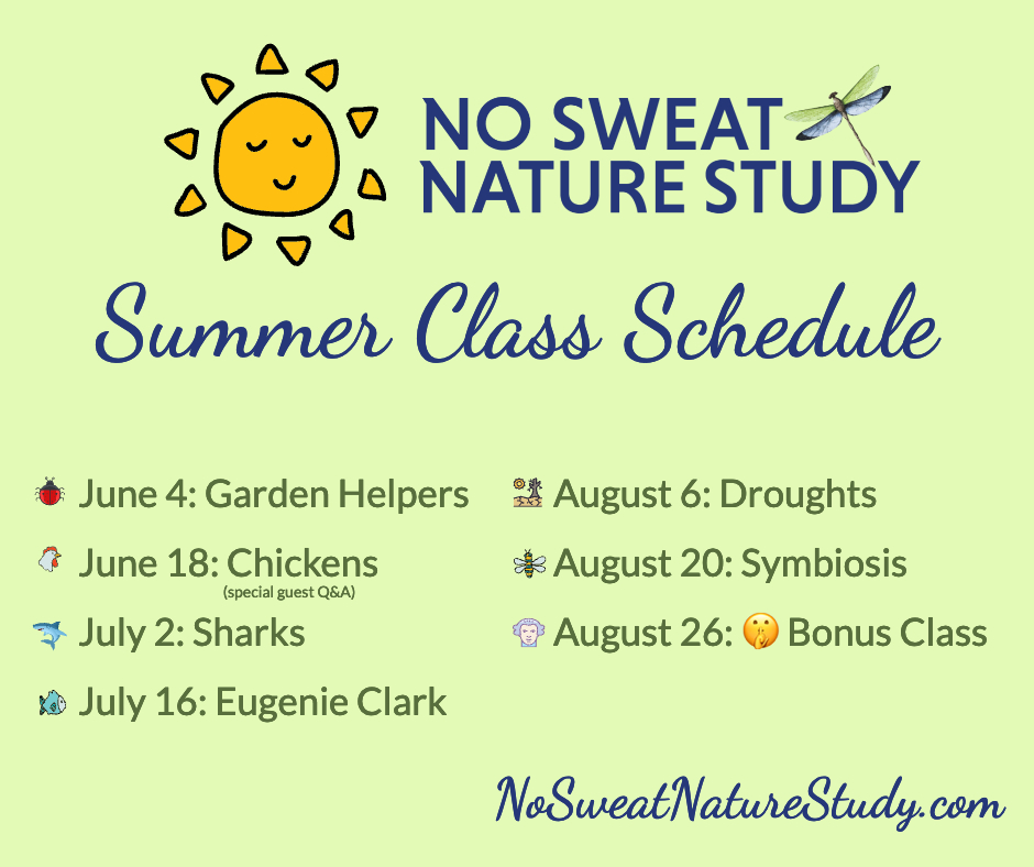 No Sweat Nature Study Summer 2024 Schedule