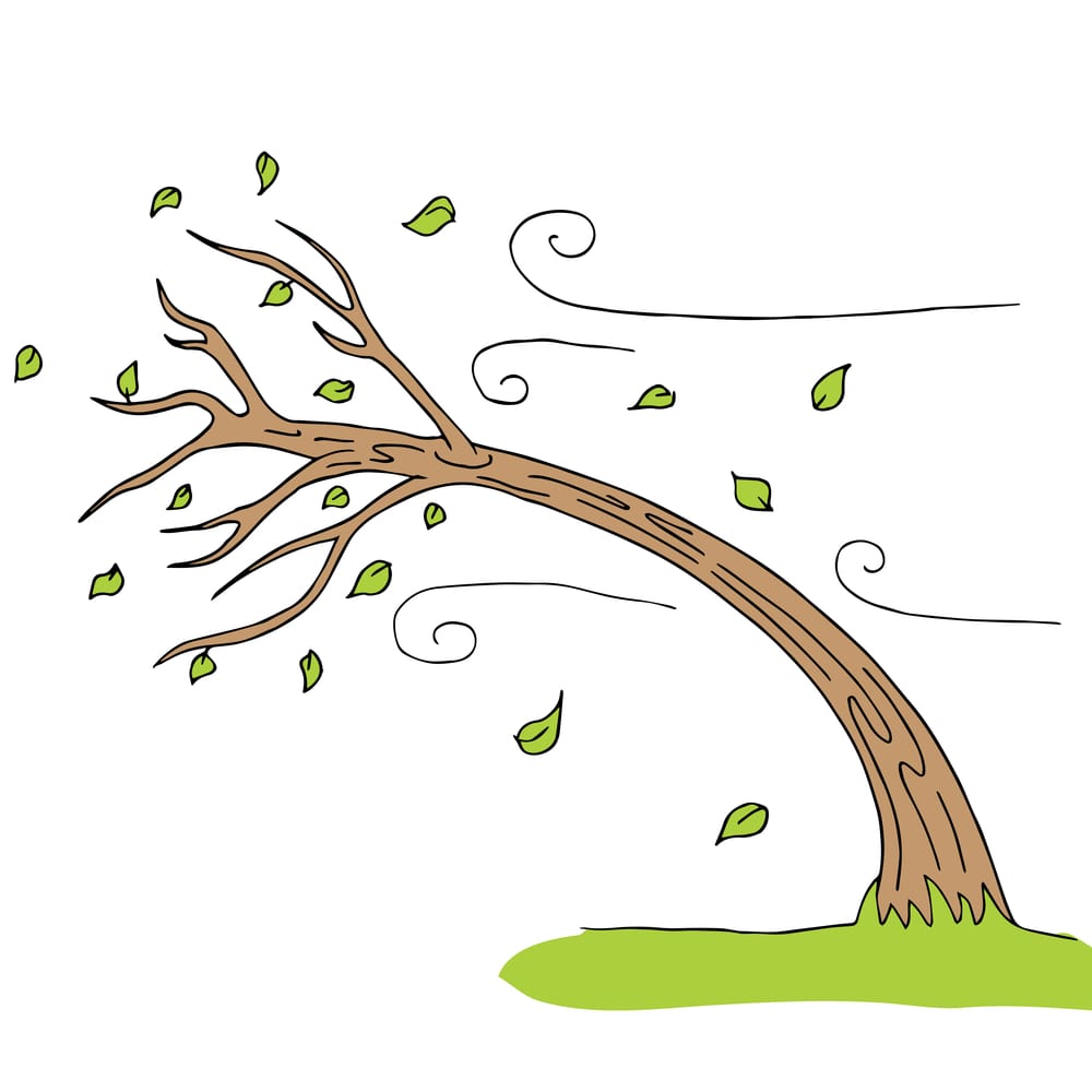 cartoon of wind blowing a tree and leaves flying