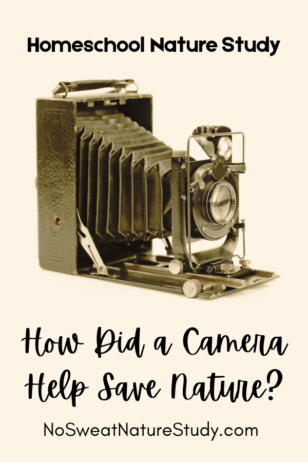 How Did a Camera Help People See Nature?