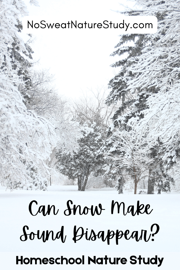 a picture of a winter scene with snow on evergreen trees and the ground with the text overlay "Can Snow Make Sound Disappear?"