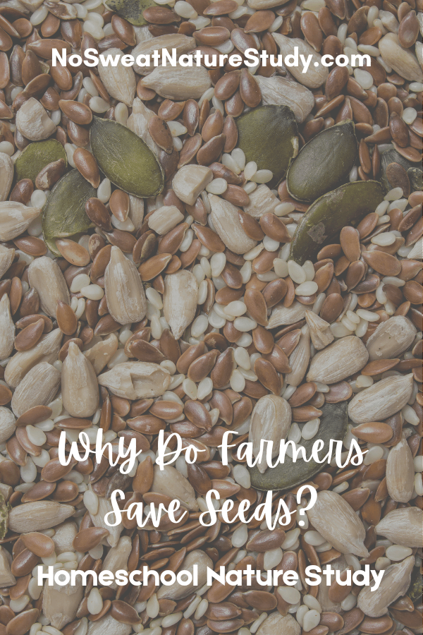 picture of many different kids of seeds with the text overlay "Why Do Farmers Save Seeds?"