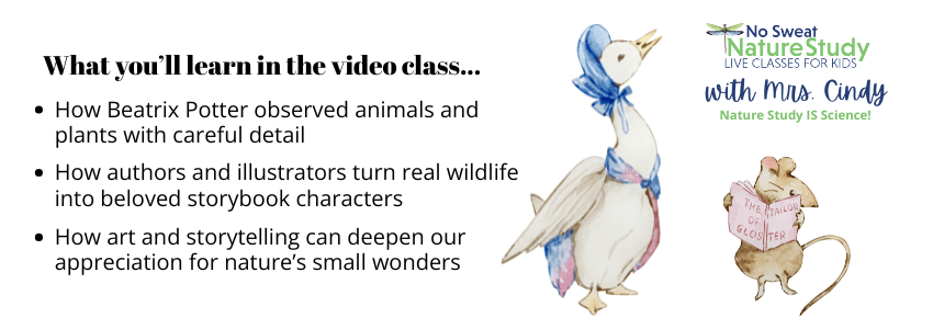 drawing of a white duck with a blue bonnet and a pink and blue scarf and a small mouse reading a book with a text overlay describing things students will learn in a video class