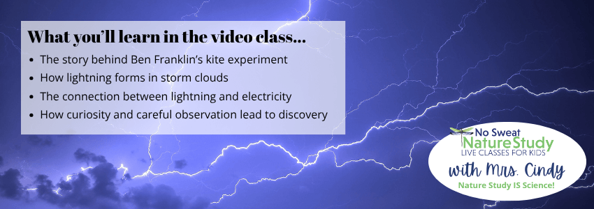 photo of a dark bluish-purple sky with dark clouds and white lightning cutting across it with text overlay describing things students will learn in a video class