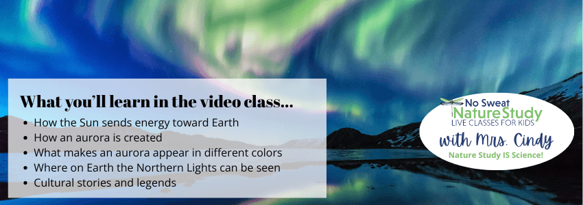 a photo of blue and green northern lights in the night sky reflected into a lake surrounded by mountains with text overlay describing things students will learn in a video class
