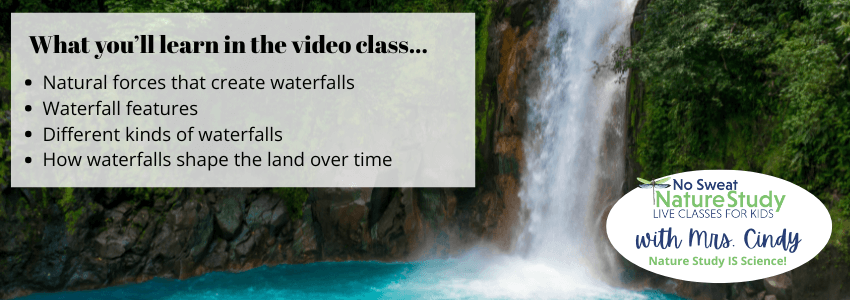 photo of a lush green area with a waterfall falling down into a turquoise pool below with text overlay describing the things students will learning in the video class