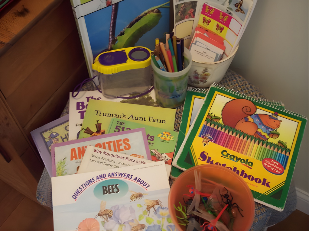 insect themed books and toys
