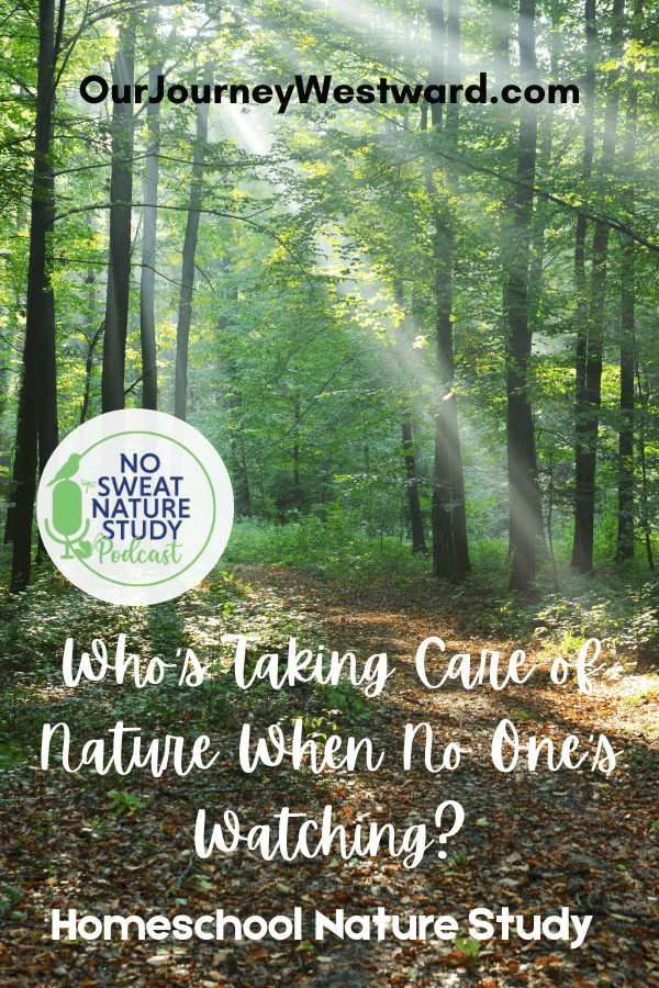photo of a forest with green trees and a ground covered with leaves and sunlight streaming through the trees with text overlay "why is taking care of nature when no one's watching?"