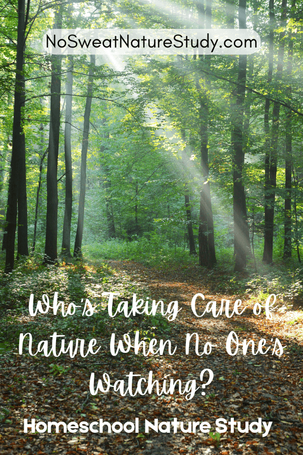 Who’s taking care of plants when no one’s watching?