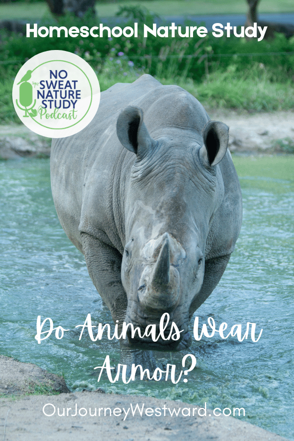 rhino in water