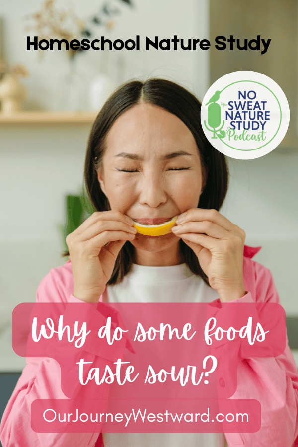 What Makes a Pickle Sour? Simple Sour Food Science