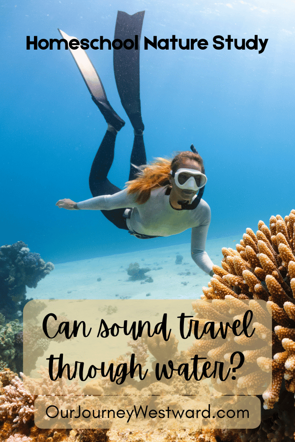 Can Sound Travel Through Water? Amazing Facts to Hear