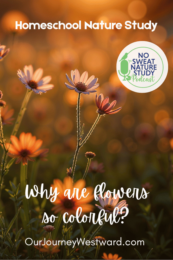 Why Are Flowers So Colorful? A Lady Bird Johnson Nature Study