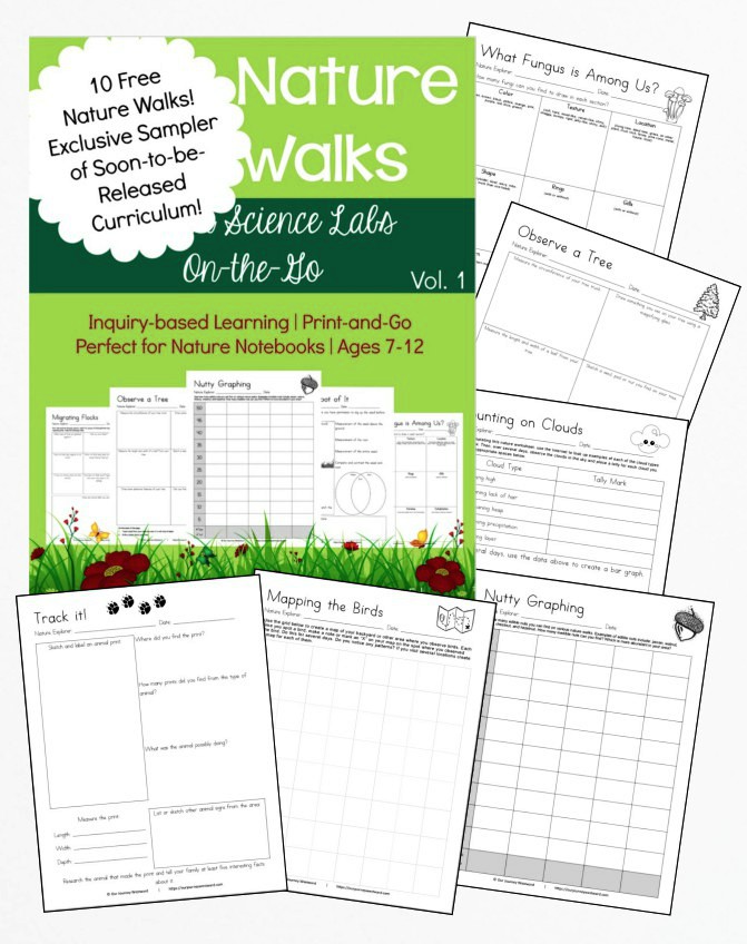 40 Nature Walks Sampler Freebie