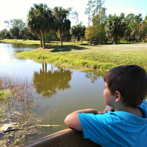 A day in the life of an animal signs nature study. #homeschool #naturestudy