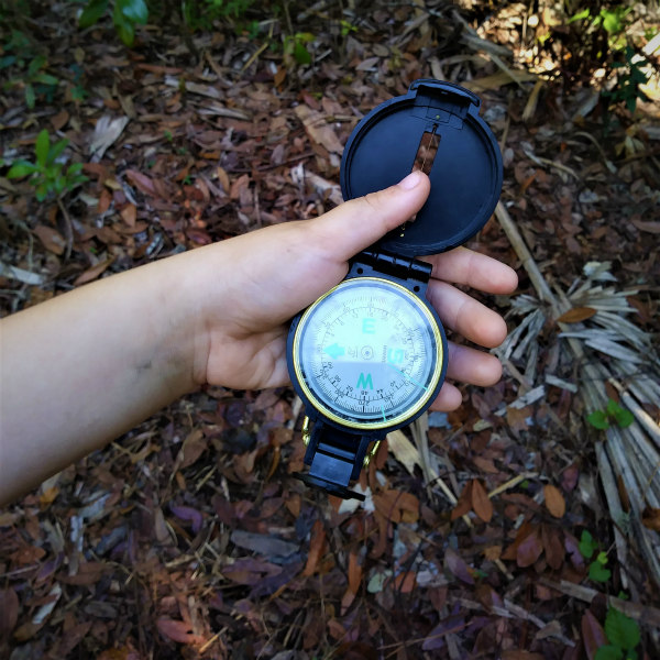 A day in the life of an animal signs nature study. #homeschool #naturestudy