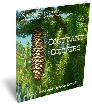 This nature-based science study teaches about cone-bearing plants through outdoor and indoor discovery activities. Plus LOTS more!