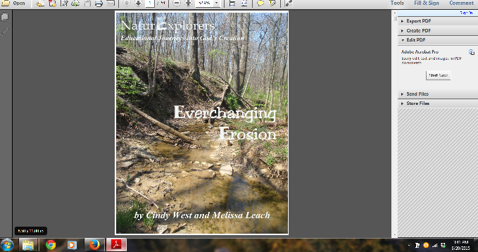 How to Organize Your E-Book Curriculum