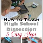 Five easy steps to teach high school dissection at home.