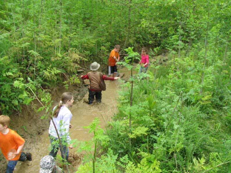 Pond nature study is extra fun when experienced with a nature club!