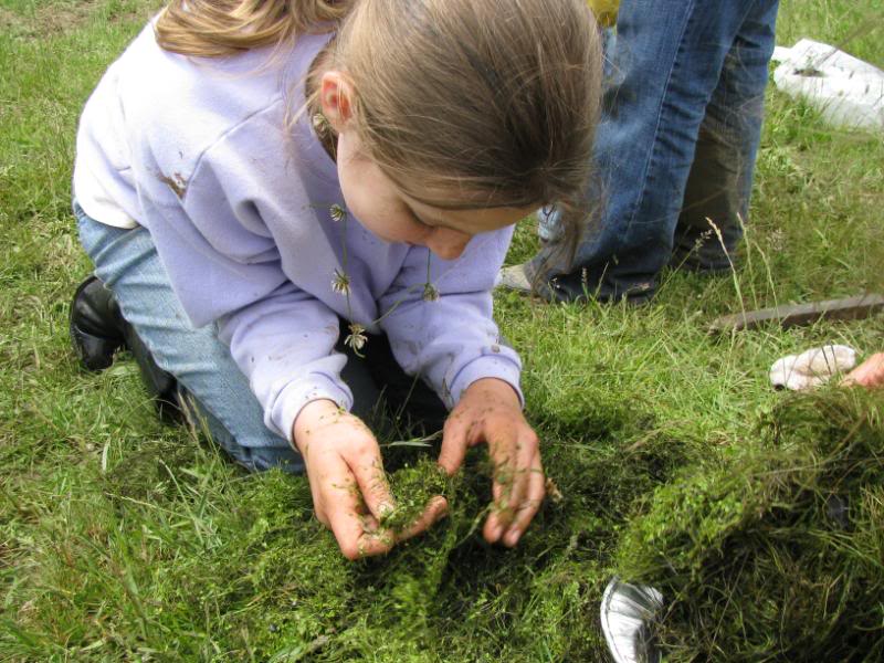 Pond nature study is extra fun when experienced with a nature club!