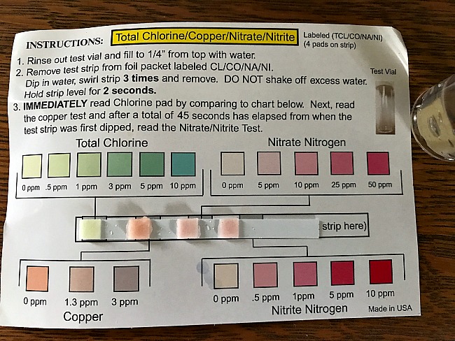 Homeschool science is fun and easy with a water testing kit!