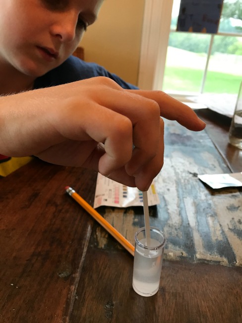 Homeschool science is fun and easy with a water testing kit!