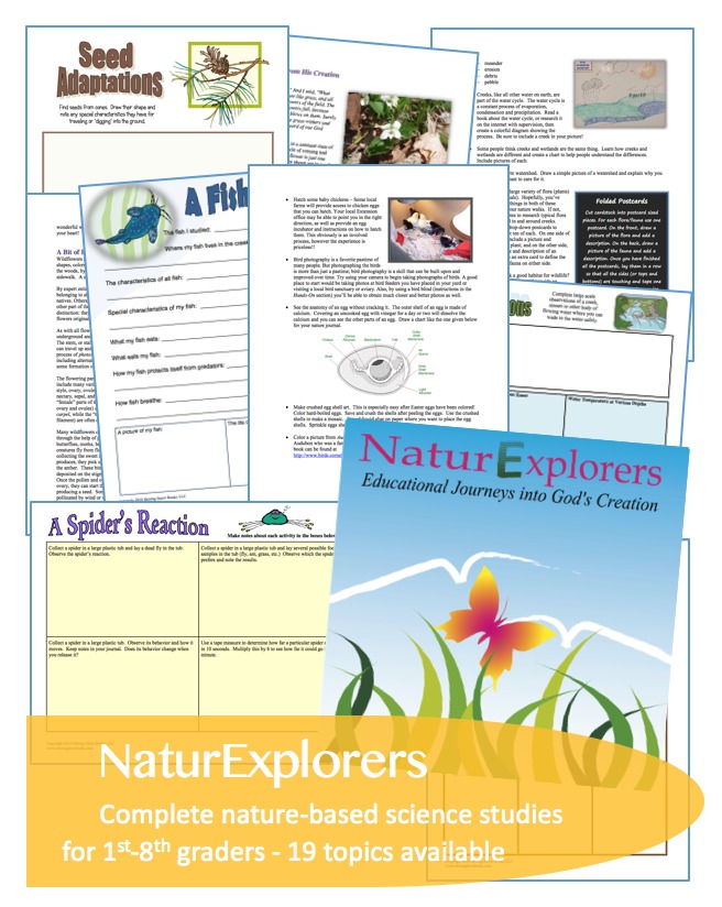 NaturExplorers: fun, in-depth elementary and middle school science lessons