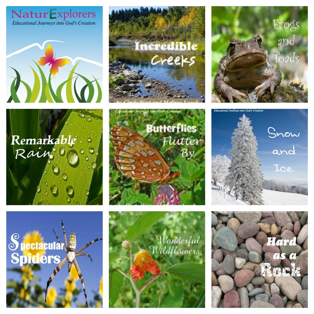 NaturExplorers can be used for nature walk ideas or science unit studies.