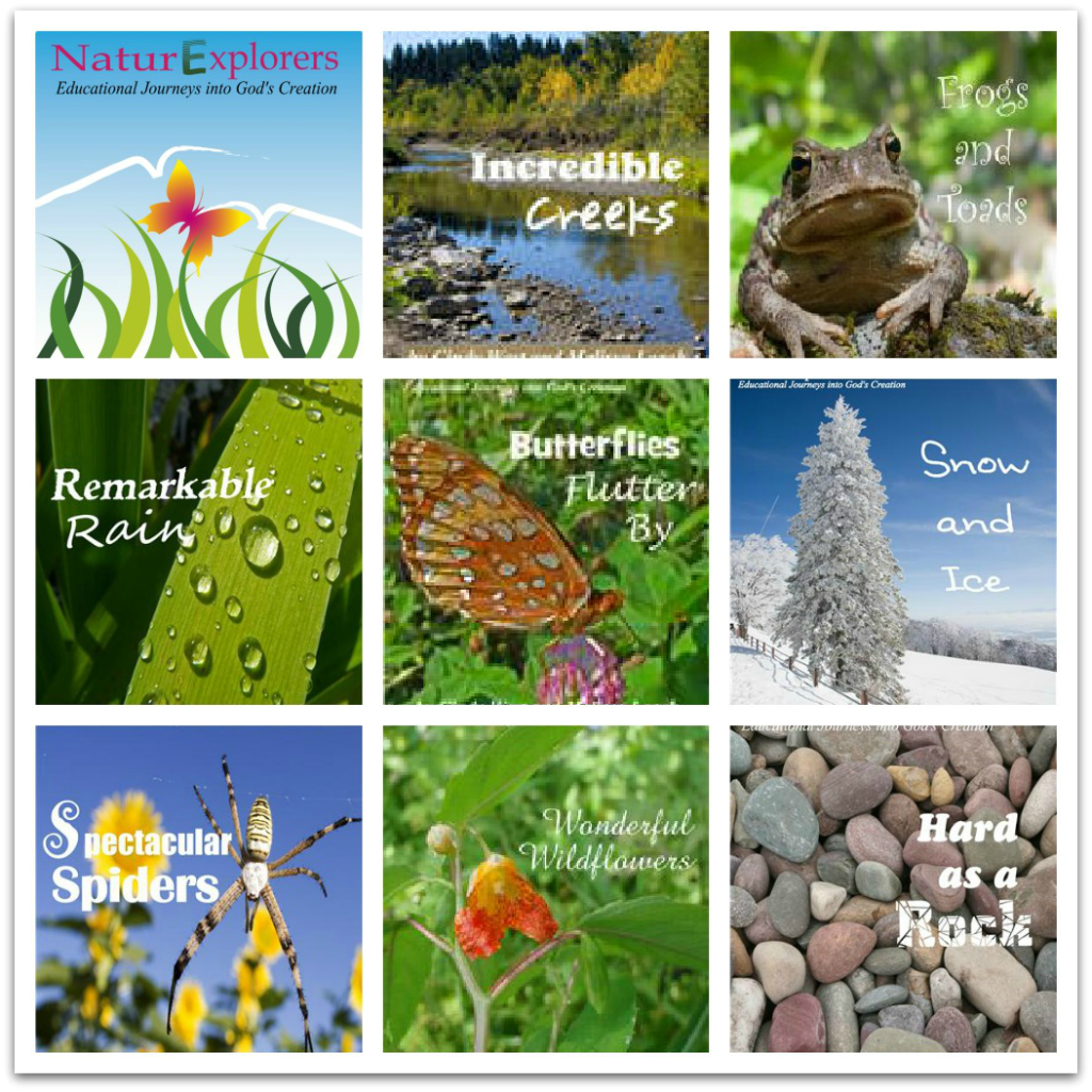 Rock middle school science with nature study. NaturExplorers studies give you all the learning activity ideas you need.