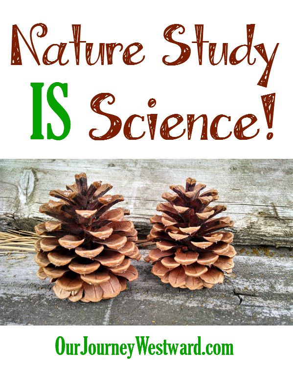 Can't find time to add nature study to the schedule because there's too much real science to do? Well, nature study IS science and your entire family will love it!
