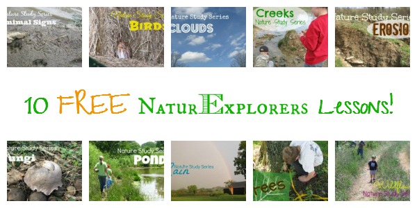 NaturExplorers lessons dive deep in nature study.