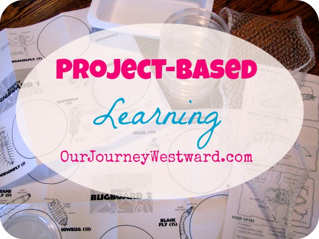 How to Incorporate Project-Based Learning Into Your Homeschool
