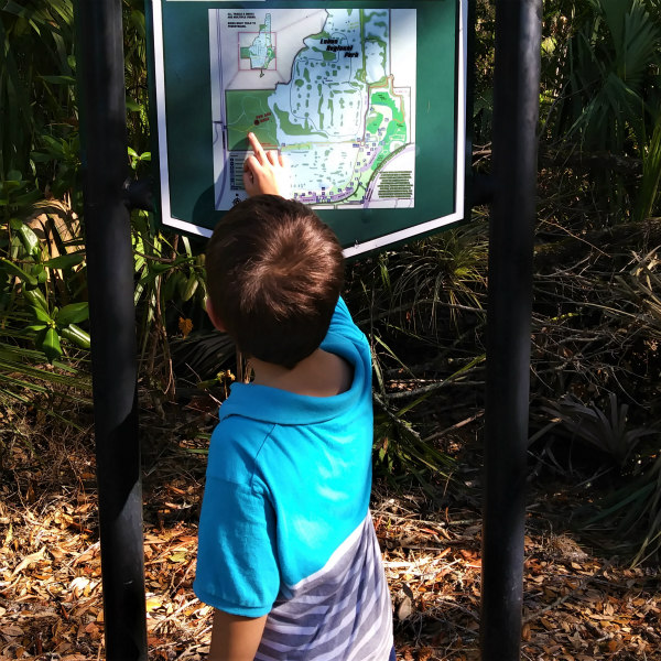 A day in the life of an animal signs nature study. #homeschool #naturestudy