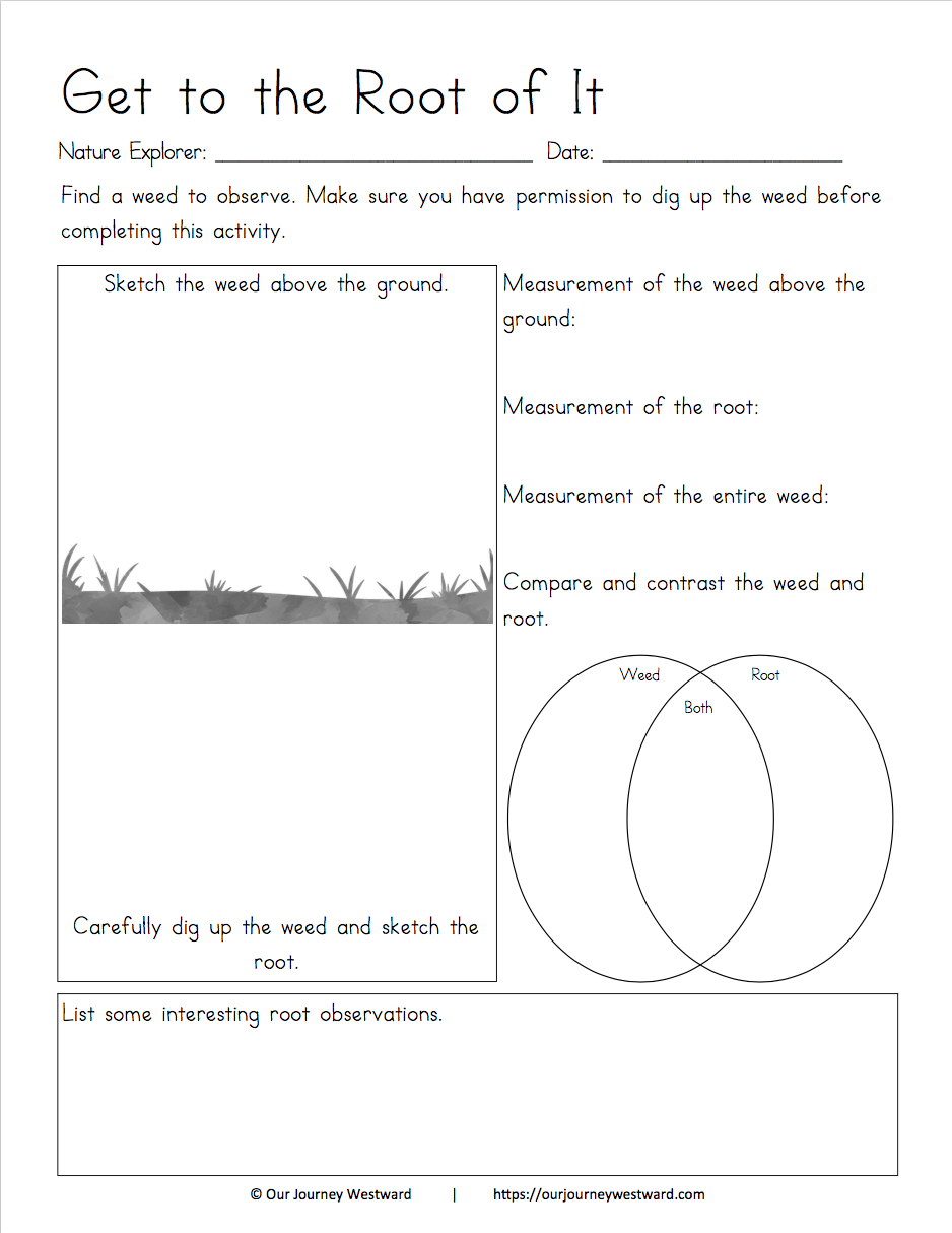 These science labs on-the-go are academically strong nature walk lessons for 2nd-6th graders