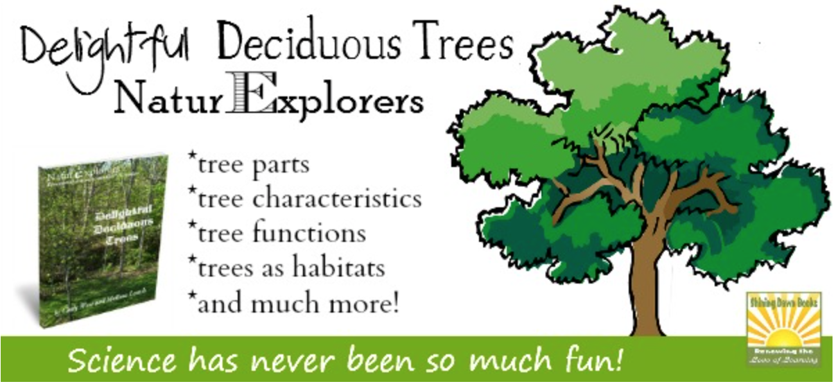 NaturExplorers Delightful Deciduous Trees is a GREAT nature themed science study!