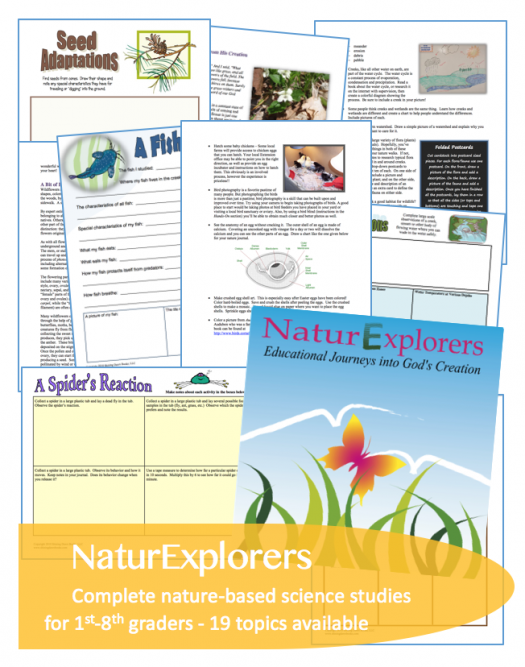 NaturExplorers guides are perfect for the 1st-8th grade homeschool, co-op or classroom. This highly adaptable curriculum series uses nature study as the starting point for science lessons that reach into every other subject and meet all learning styles.