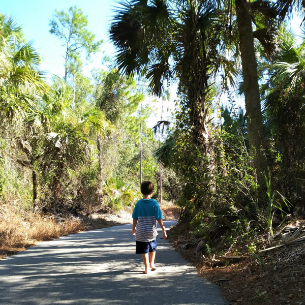 A day in the life of an animal signs nature study. #homeschool #naturestudy