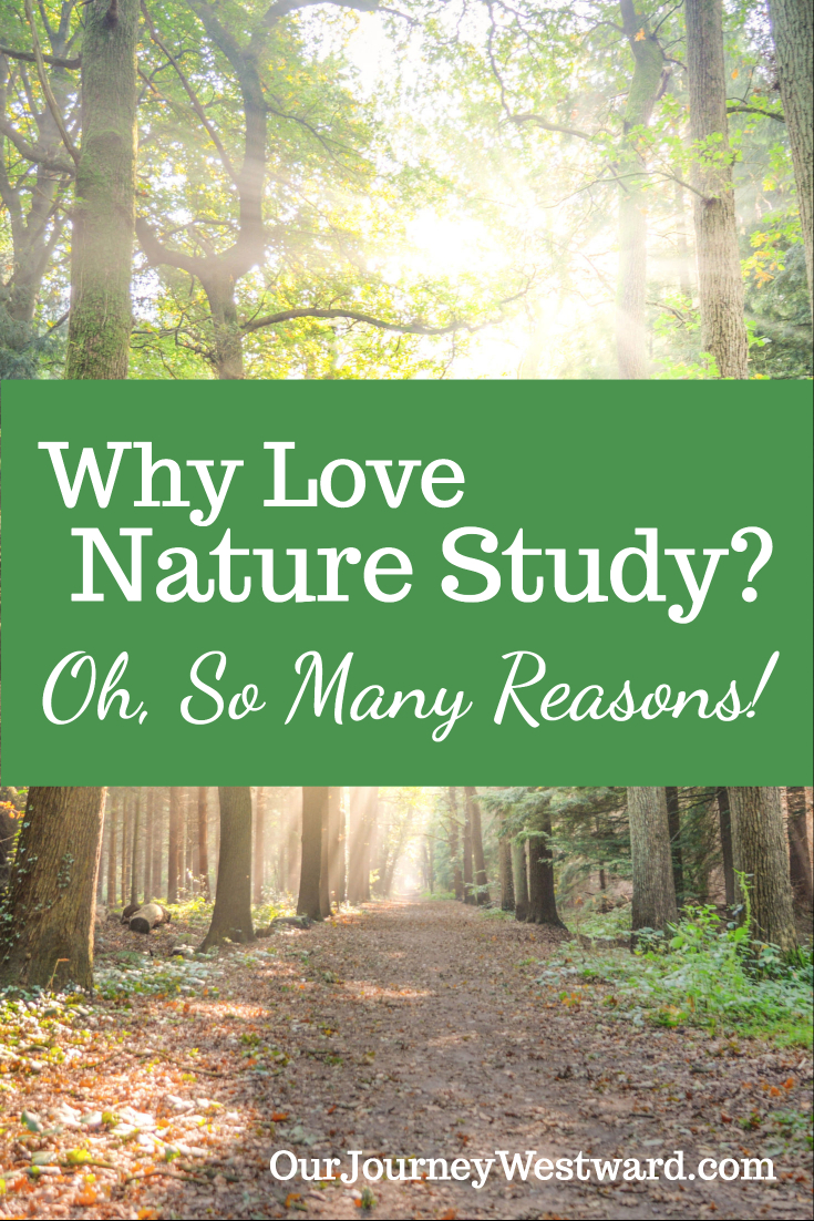 Image about loving nature study with a forest path in the background.