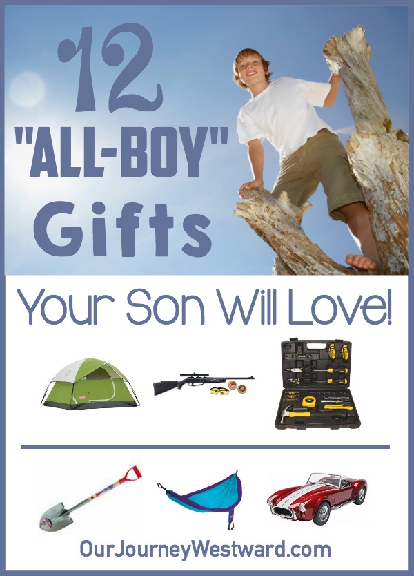 Images of a tent, a gun, a toolbox, shovel, hammock, and car with a boy climbing in a tree. This is used for a blog post about "all-boy" gift ideas.