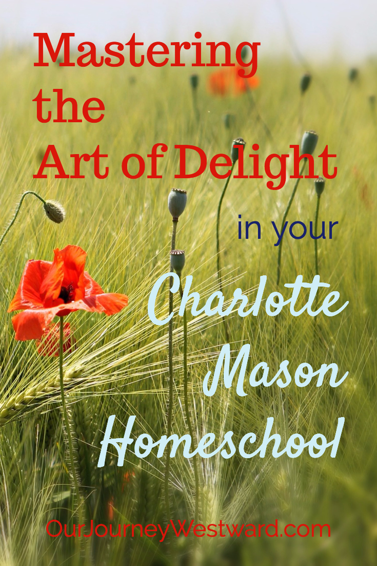 Filed with grasses and a poppy - blog image for a post about Mastering the Art of Delight in your homeschool