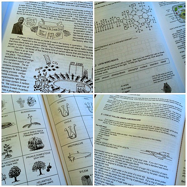 My son wasn't thriving in high school science. Botany in 8 Lessons was one of the changes I made to bring back a love of biology.