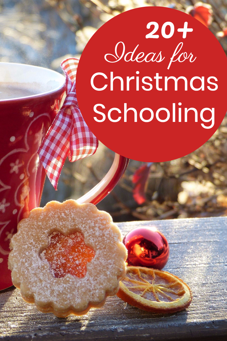 Christmas cookie sitting next to a red mug, an orange slice, and a red ornament. Image is used for a blog post on Christmas Schooling.