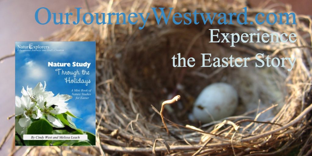 Easter nature study lessons flow together beautifully to teach the Biblical story of Easter. Your whole family will enjoy this Easter experience! Appropriate for classrooms and co-ops, too.