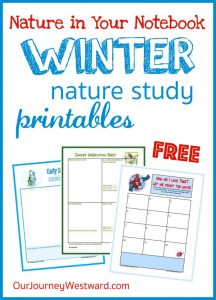 These free nature in your notebook printables will help keep the winter doldrums far away from your homeschool this season!