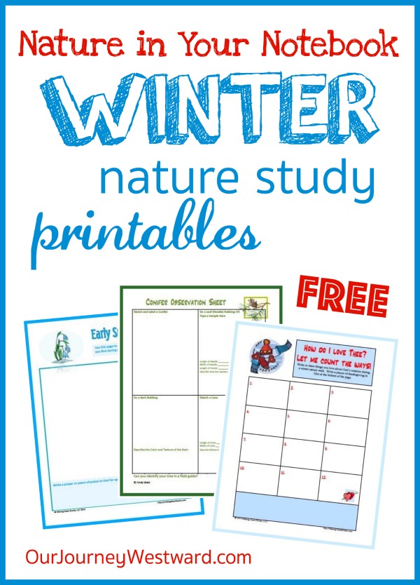 Examples of printable nature notebook pages in the middle of an blog image about Winter Nature Study Printables.