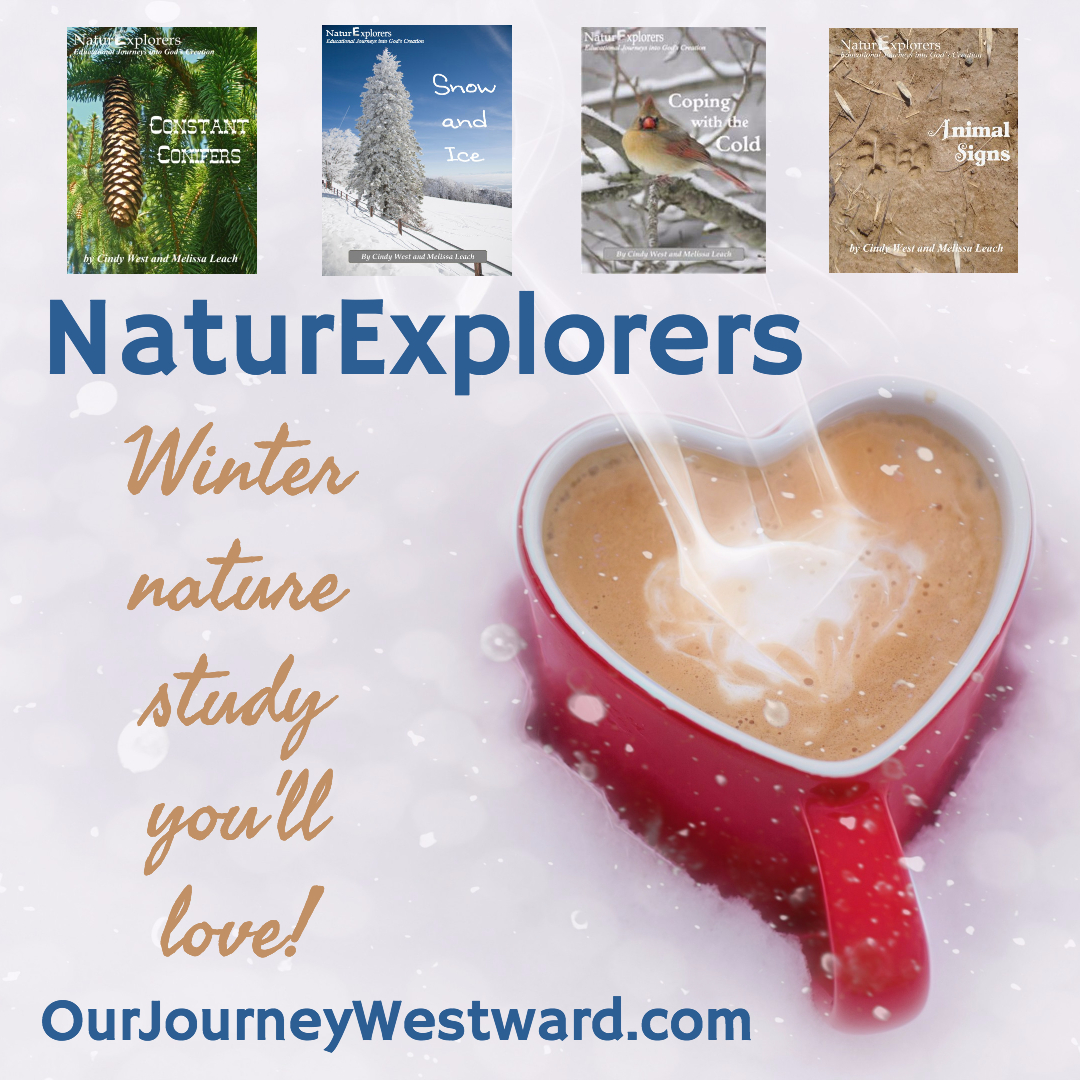 Winter NaturExplorers 1080x1080 (Instagram)